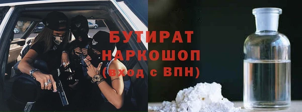 индика Новокубанск